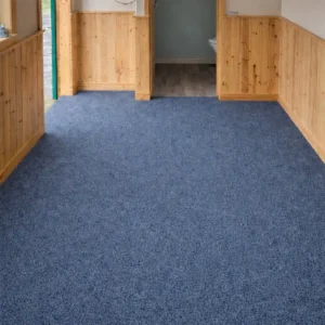 Carpet with Underlay