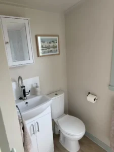 Kingsmills toilet sink