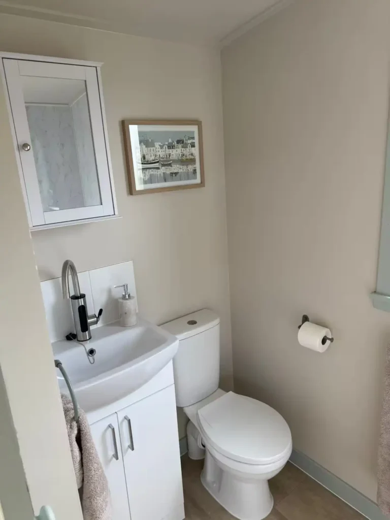 Kingsmills toilet sink